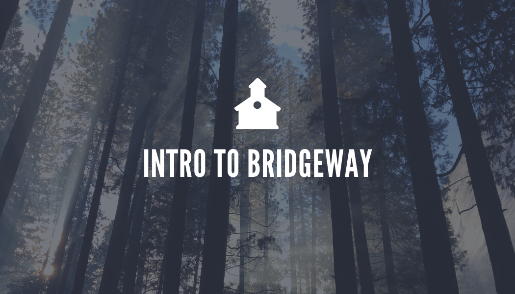 Minimalist Forest Church Business Card Intro to Bridgeway